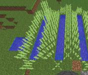 Сахарный тростник в Minecraft — для чего он нужен?